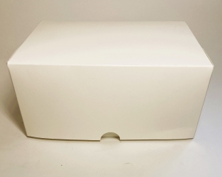 Контейнер паперовий білий 170х120х80 (аналог КТО100)(100 шт/уп)