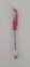 Ручка кулькова JAZZ KLERK 0,7 мм. Корпус прозорий, пише червоним ( KL0422-R.)
